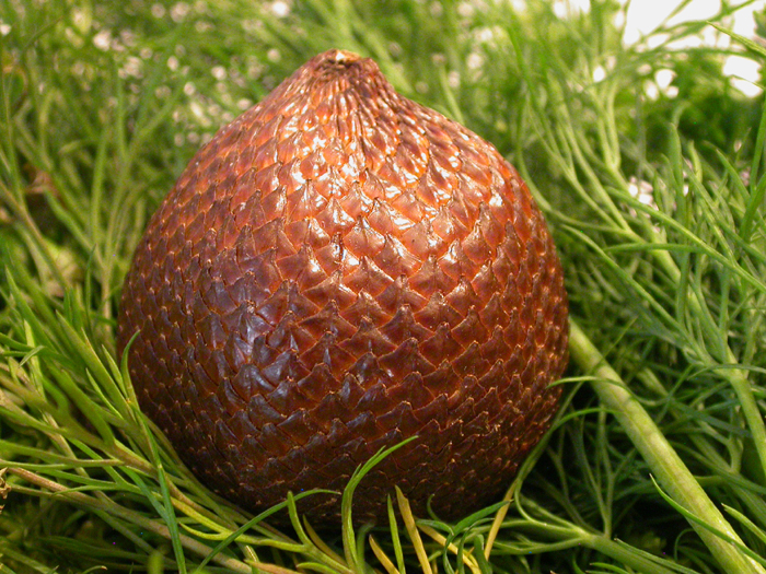 salak