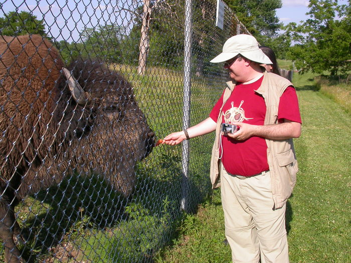 bison and andy