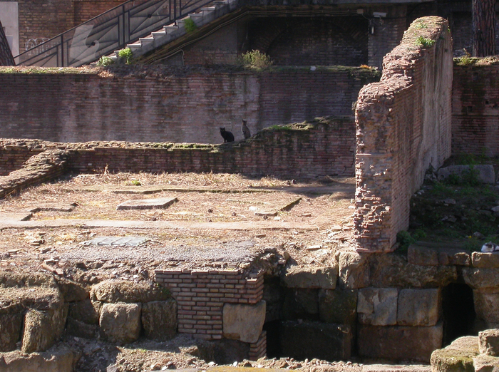 Largo Argentina temple C, Feronia, with cats