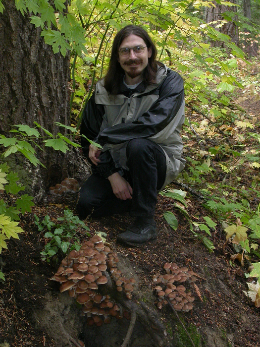 mushroom photo