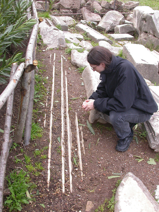 eric-buried-column-temple-vesta