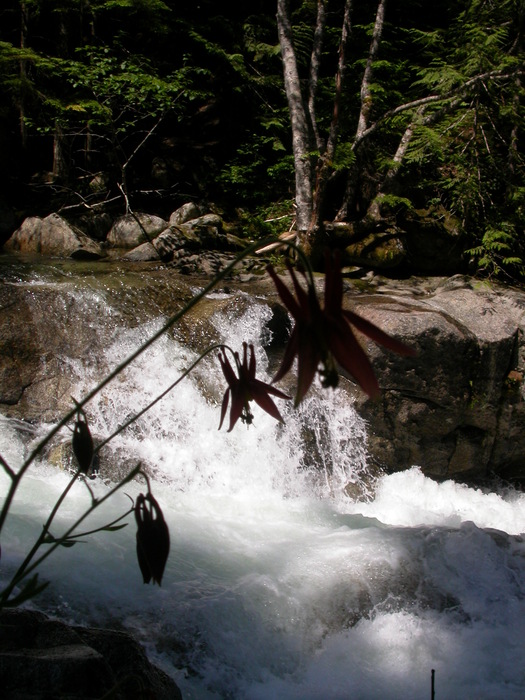 columbine waterfall